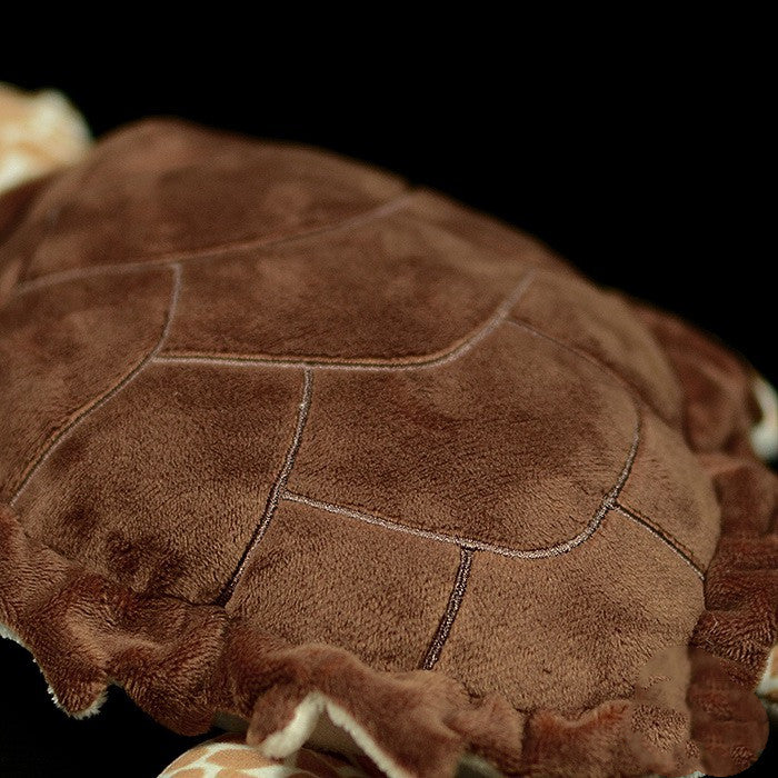 Cute Tortoise Turtle Doll Model Gift Gift