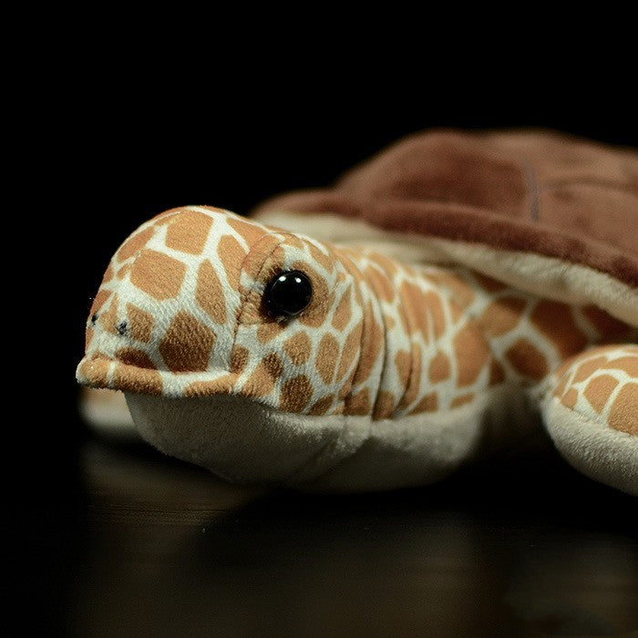 Cute Tortoise Turtle Doll Model Gift Gift